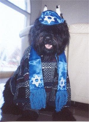 Bouvier