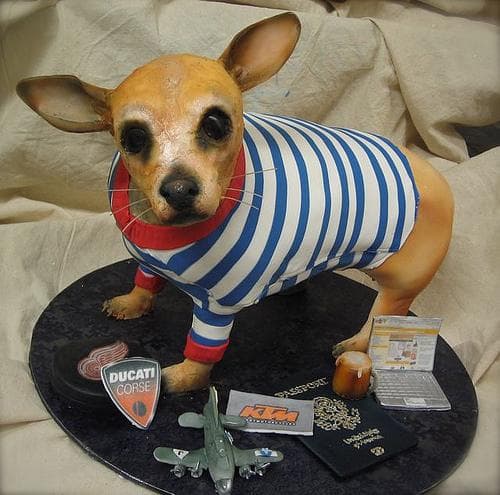 Chihuahua