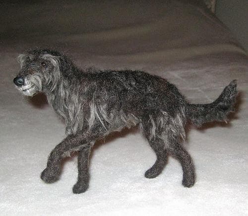 Scottish Deerhound