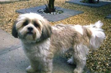 Lhasa