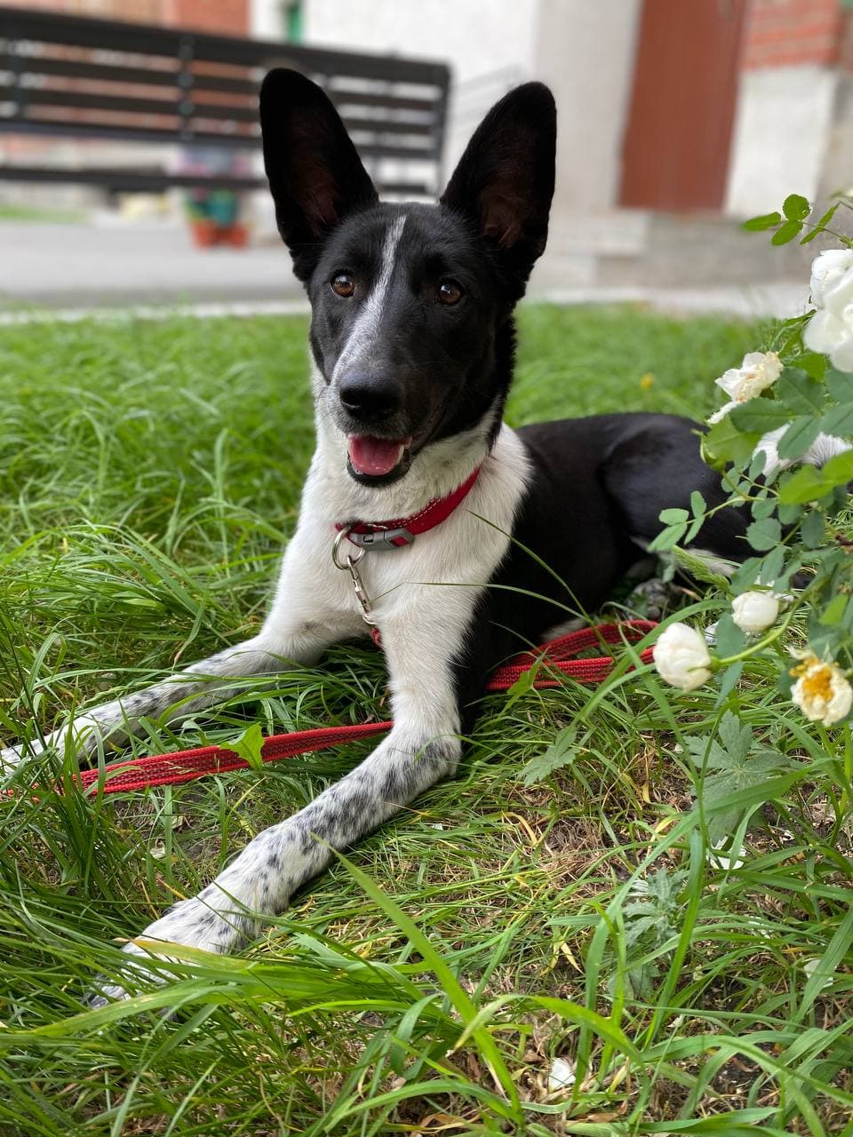 mix