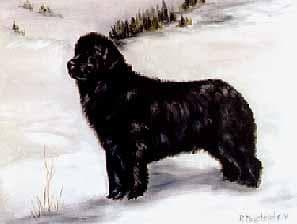 Newfoundland