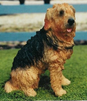 Otterhound