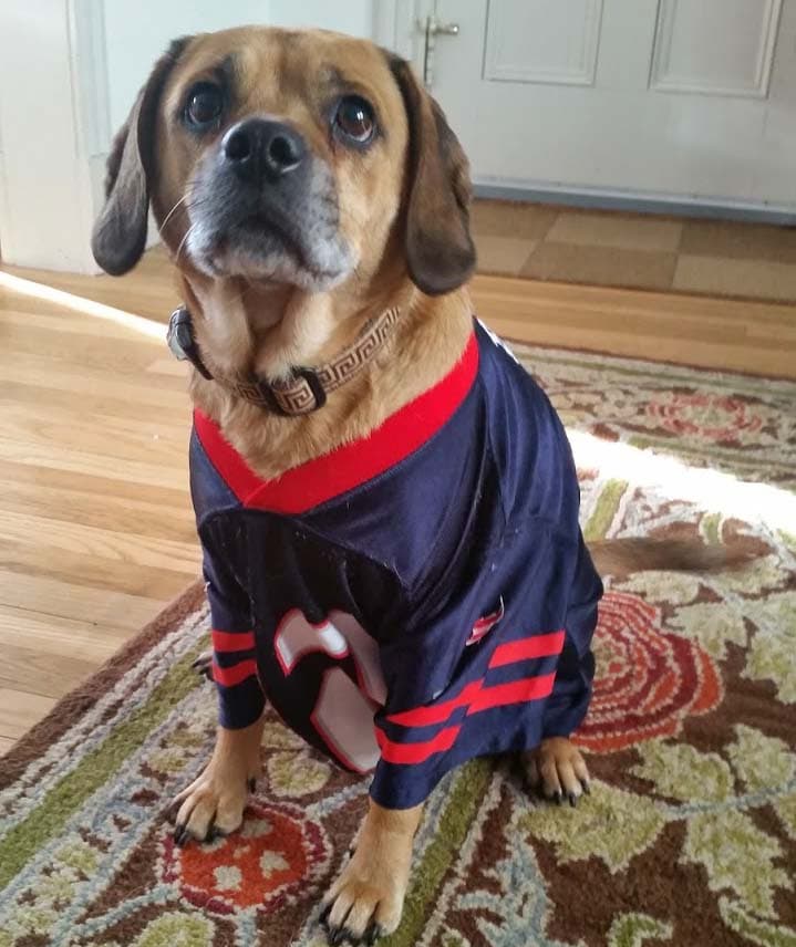 Puggle