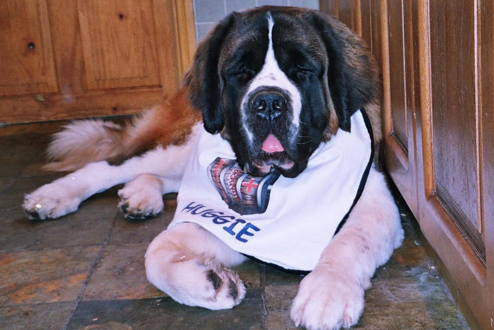 St Bernard