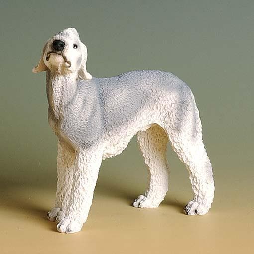 Bedlington Terrier