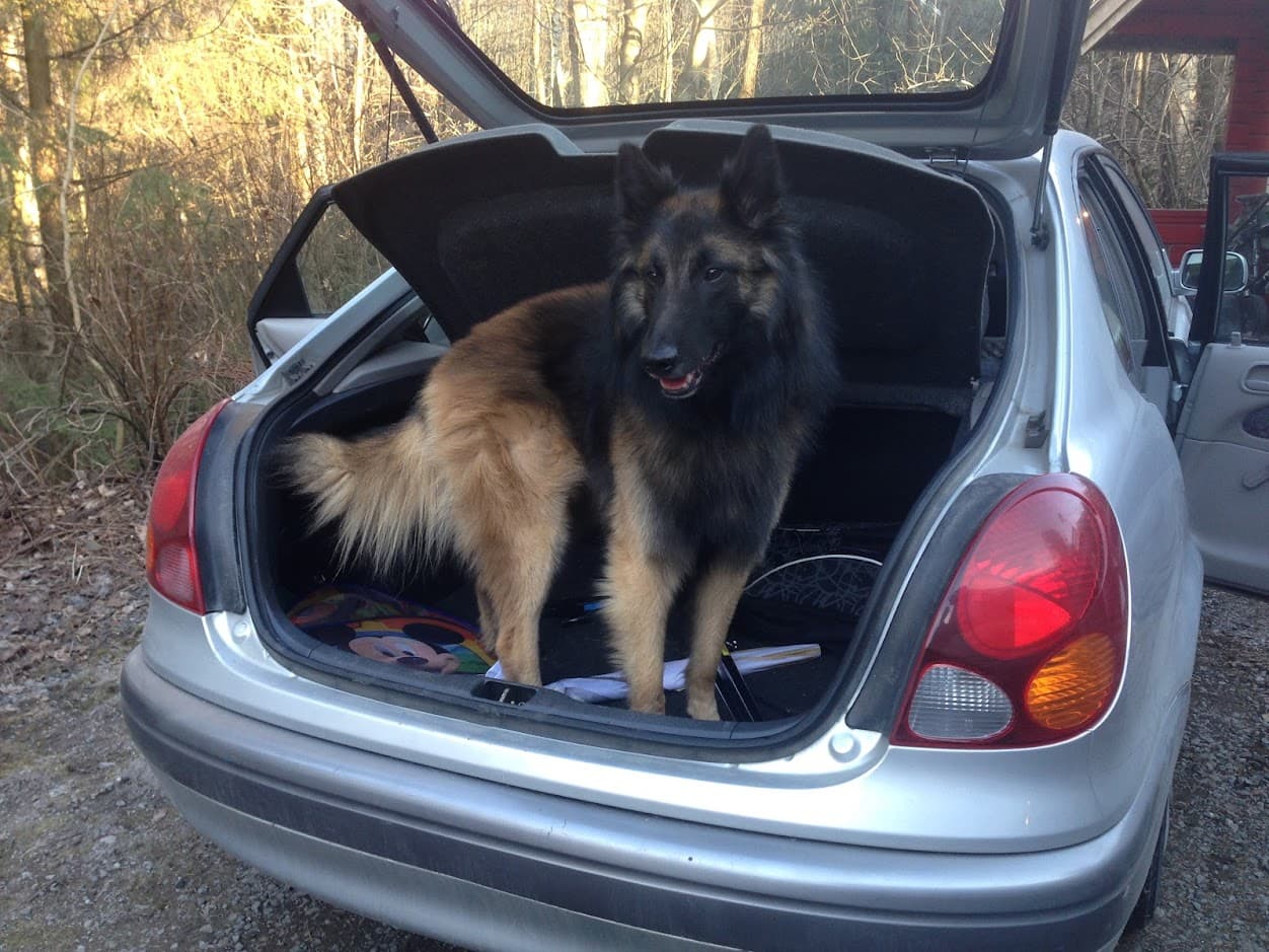 Tervuren